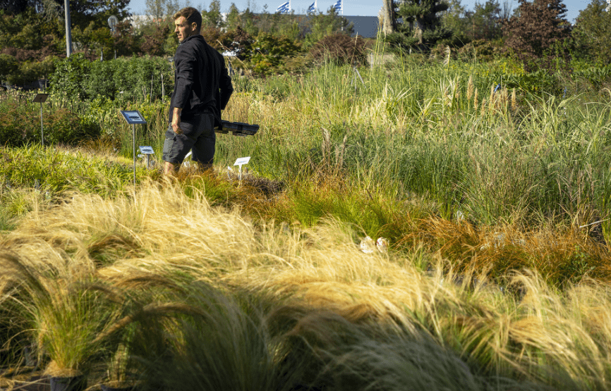 Un exemple de jardin paysager